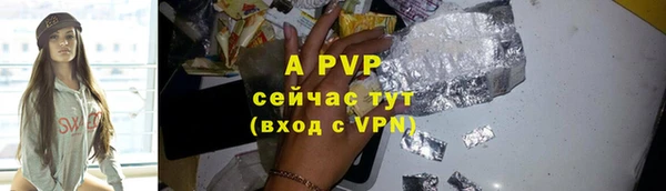 apvp Богородицк