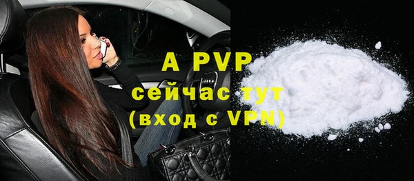 apvp Богородицк